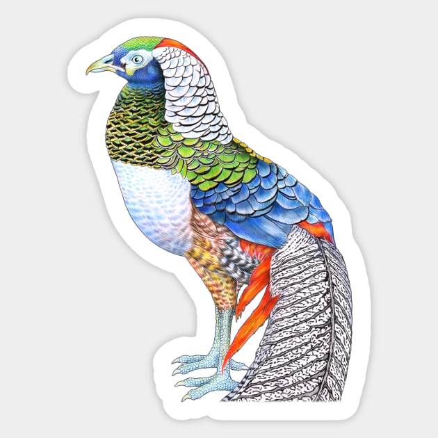 Pheasant Sticker by Tim Jeffs Art